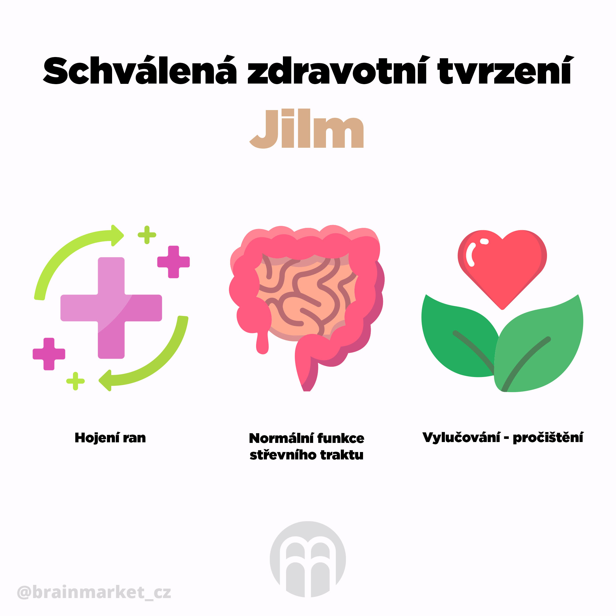 jilm_infografika_brainmarket_cz_2